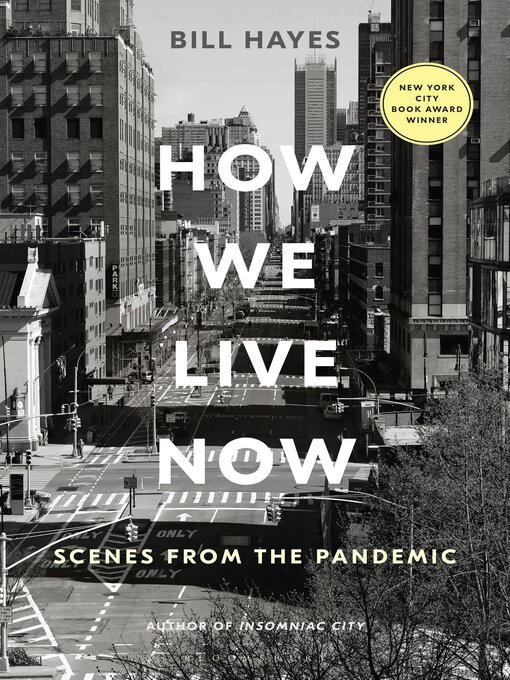 Cover image for How We Live Now